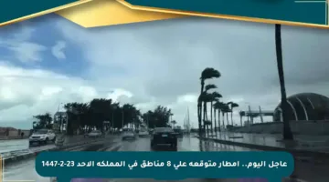 عاجل اليوم.. أمطار متوقعة على 8 مناطق في المملكة الأحد 23-2-1447